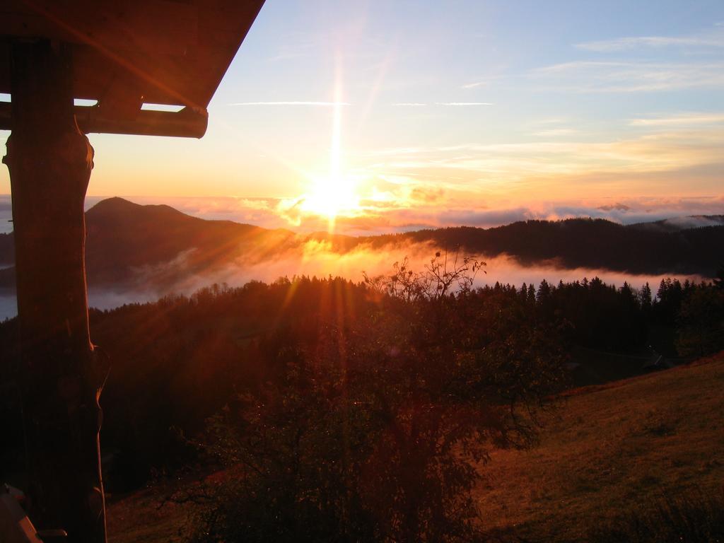 Gostisce In Penzion Stari Vrh Poljane nad Škofjo Loko Exterior foto